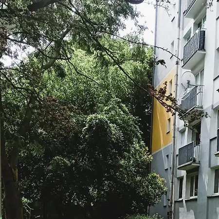 Drzewna Apartamenty - Wladyslawa Zielona Gora  Exterior photo