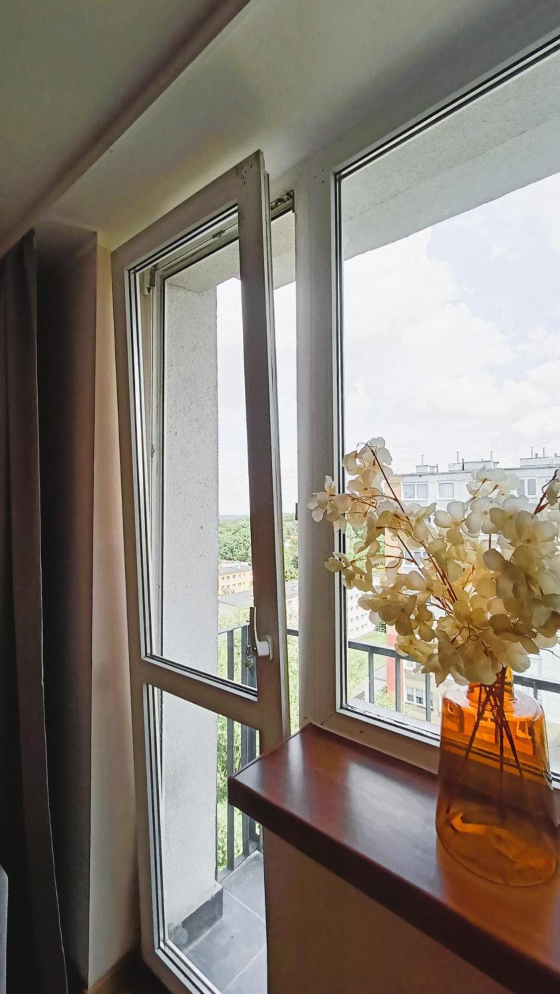 Apartment Drzewna - Wladyslawa Zielona Gora (Lubuskie)
