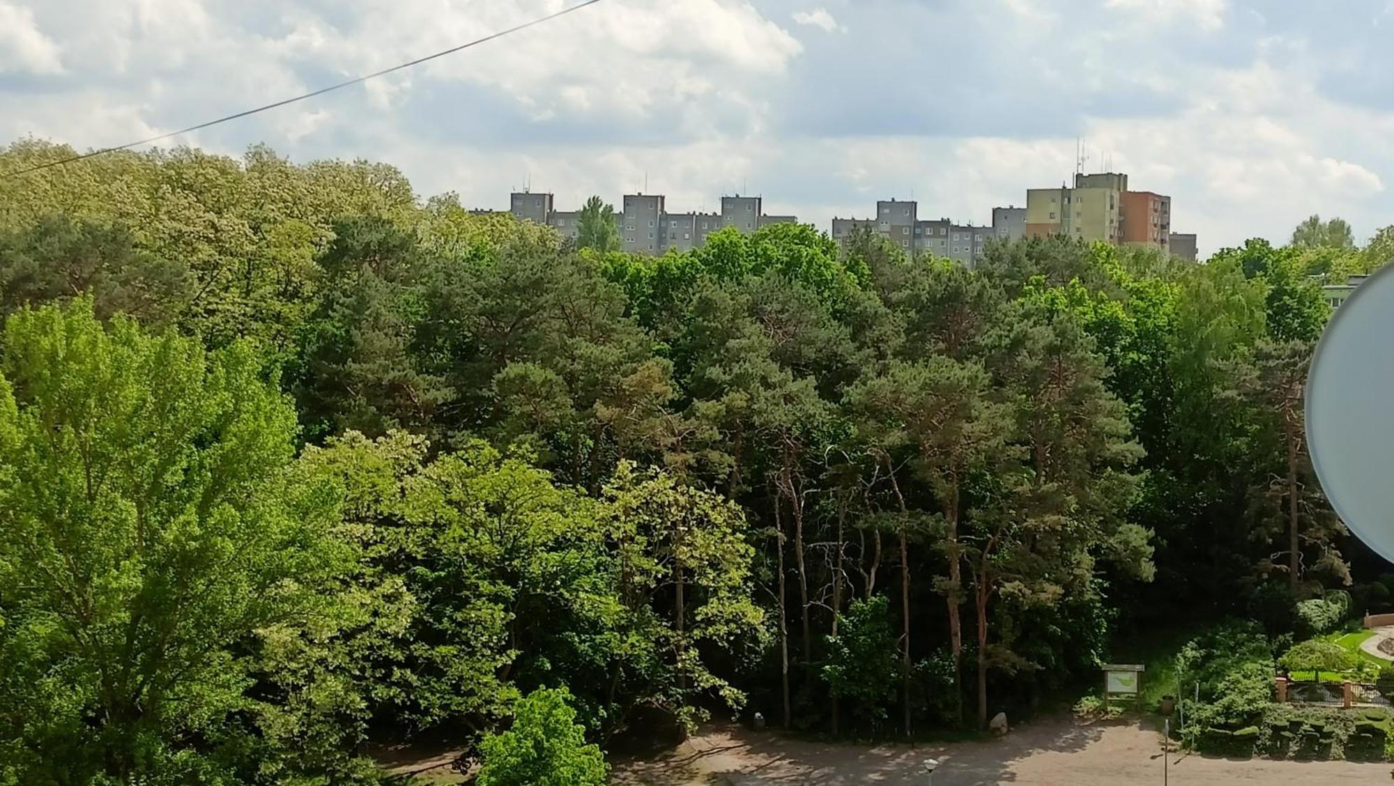 Drzewna - Wladyslawa Apartment Zielona Gora (Lubuskie)