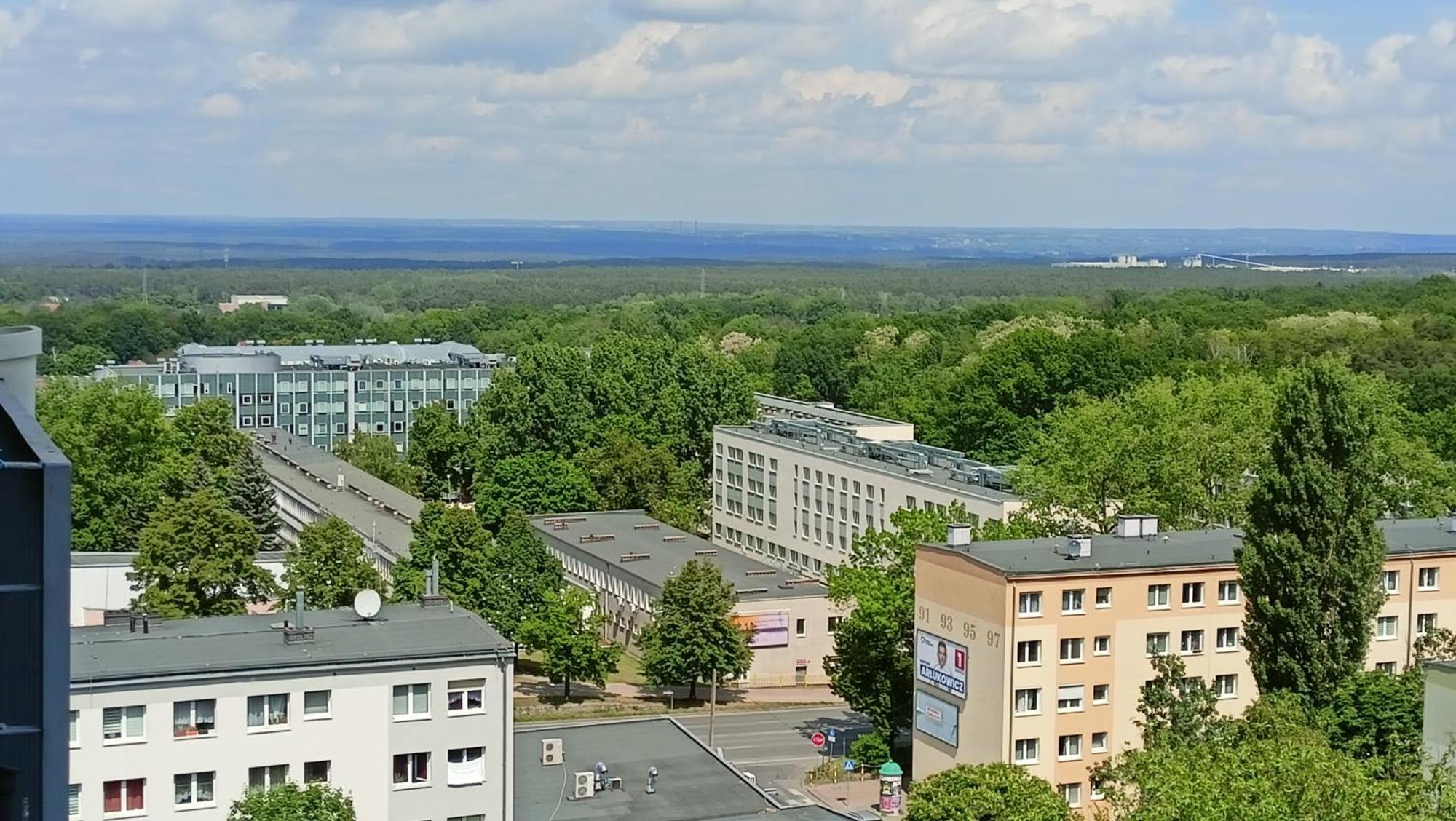 Drzewna - Wladyslawa * Zielona Gora (Lubuskie)