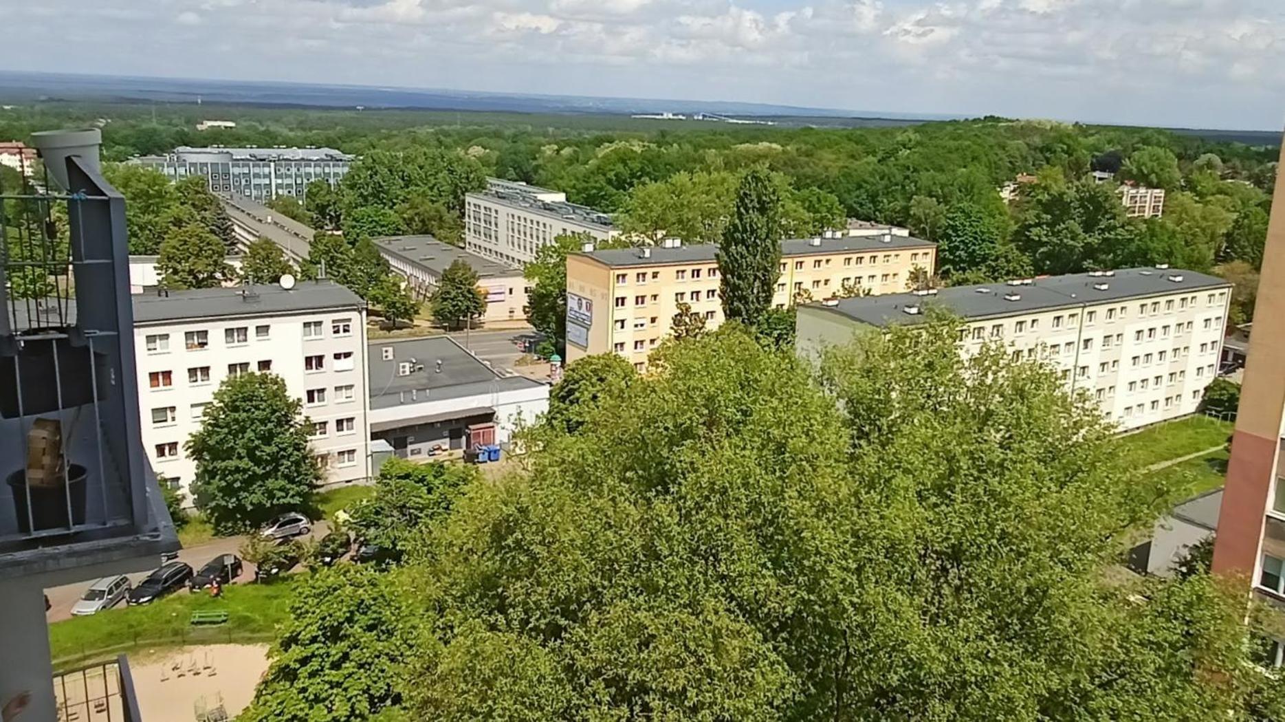 Apartment Drzewna - Wladyslawa