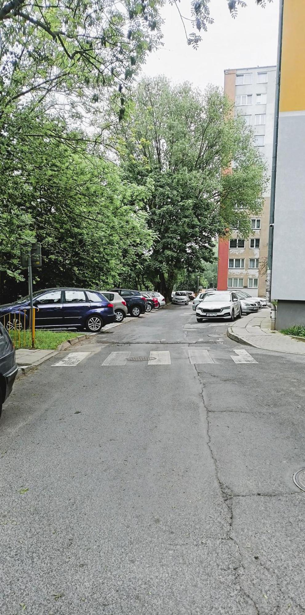 Drzewna - Wladyslawa * Zielona Gora (Lubuskie)
